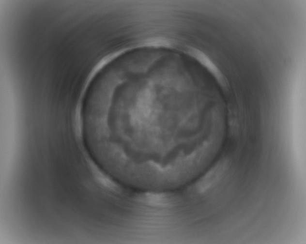 X0000114111032200910131338