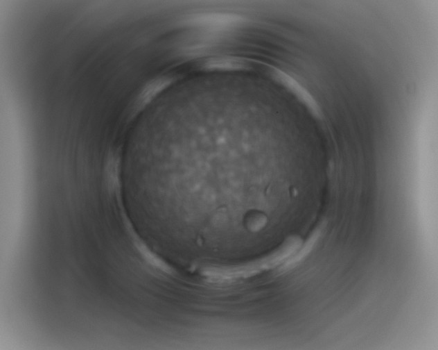 X0000114111033200910131338