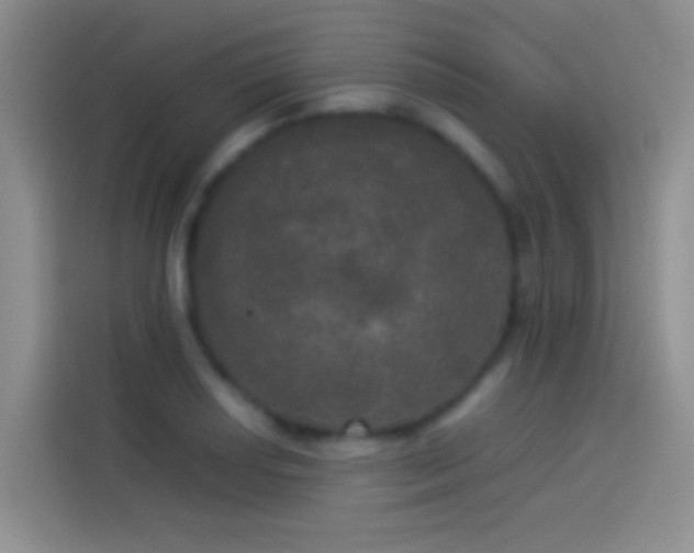 X0000114111034200910131338