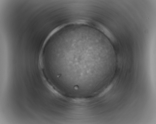 X0000114111036200910131338