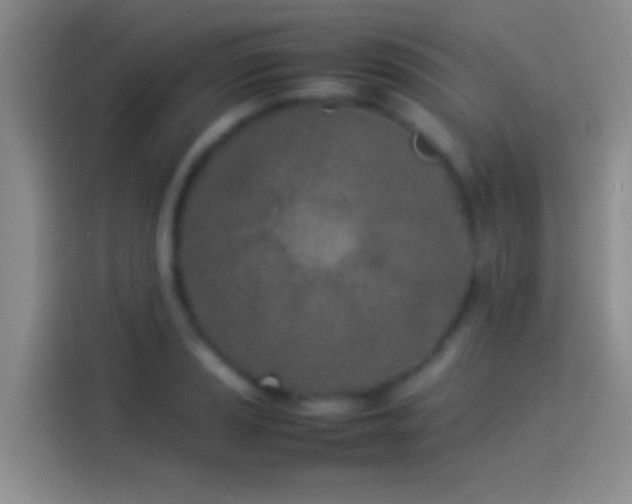 X0000114111037200910131338