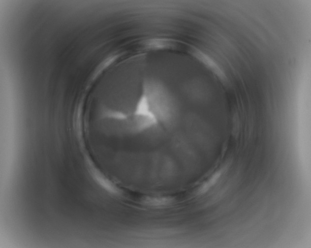 X0000114111039200910131338