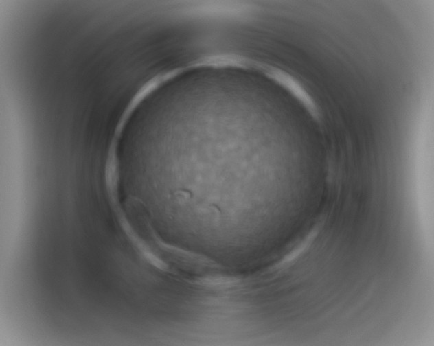 X0000114111040200910131338