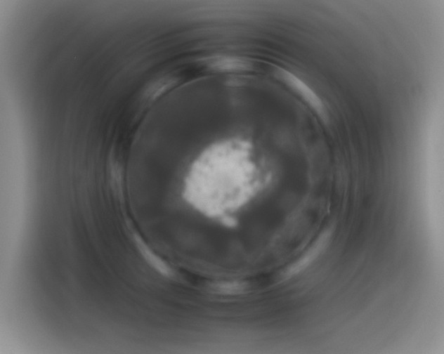X0000114111041200910131338