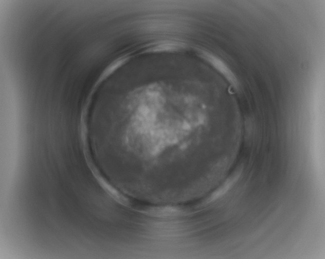 X0000114111042200910131338