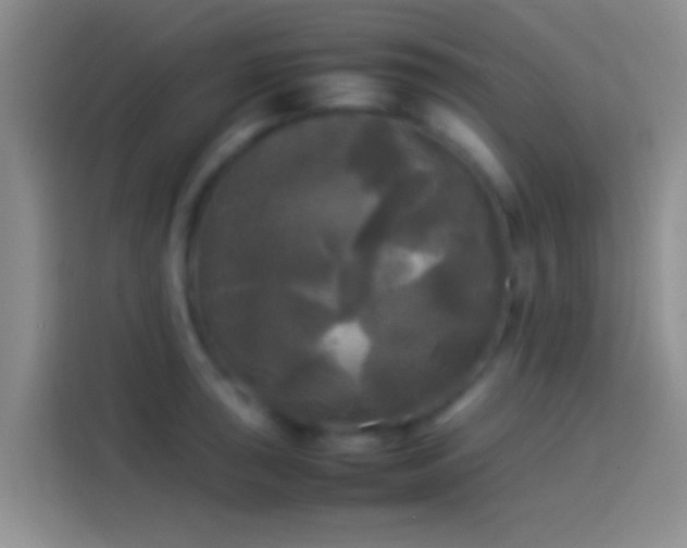 X0000114111043200910131338
