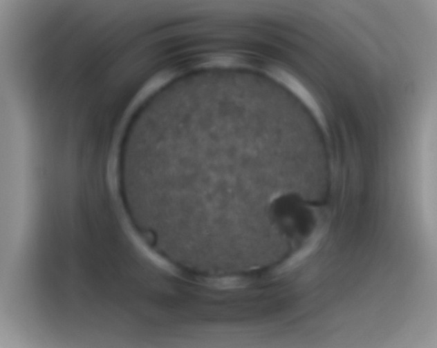 X0000114111045200910131339