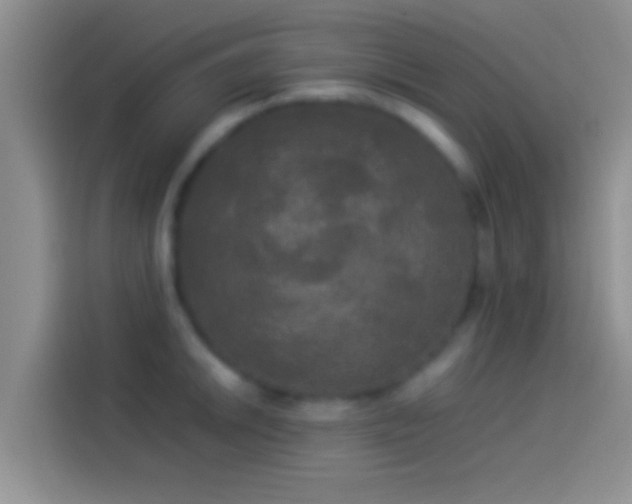 X0000114111046200910131339