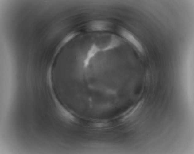 X0000114111047200910131339