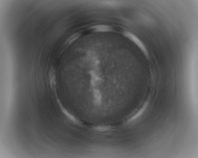 X0000114111049200910131339