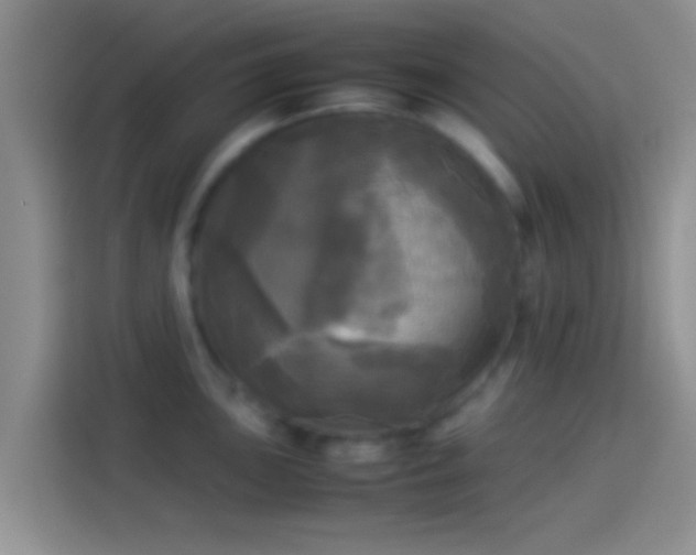 X0000114111051200910131339