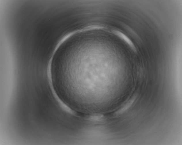 X0000114111055200910131339