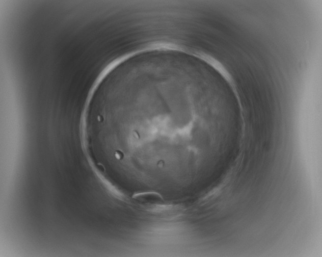 X0000114111056200910131339