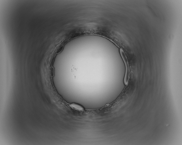 X0000114111057200910131338