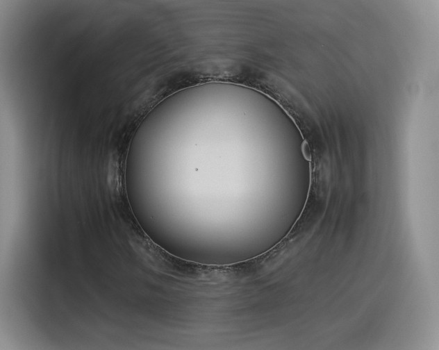 X0000114111058200910131338