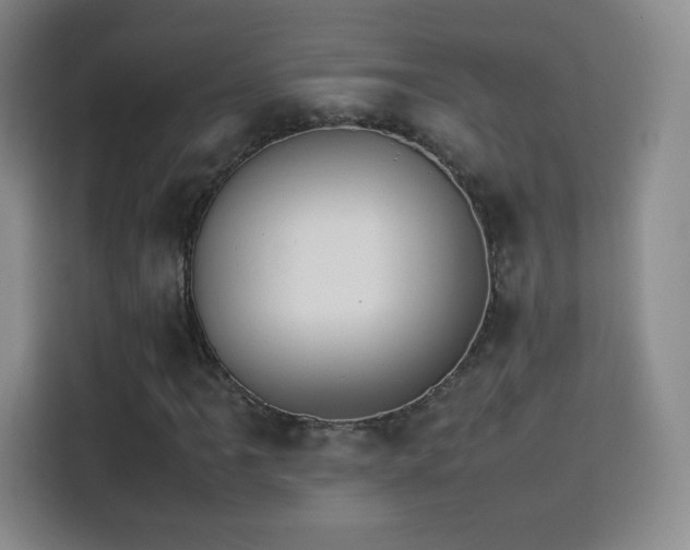 X0000114111061200910131338