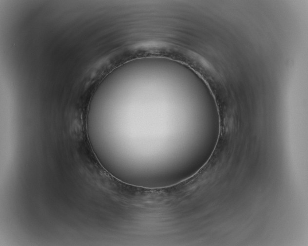 X0000114111062200910131338