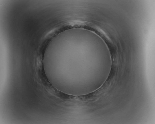 X0000114111063200910131338