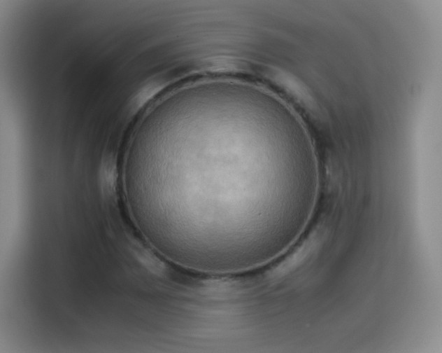 X0000114111065200910131338
