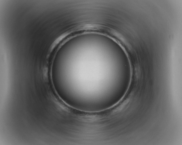 X0000114111066200910131338
