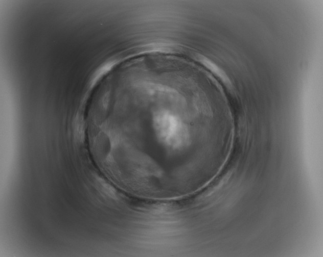 X0000114111067200910131338