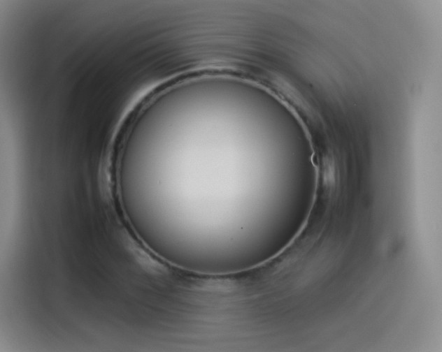 X0000114111068200910131338