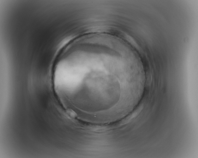 X0000114111071200910131338