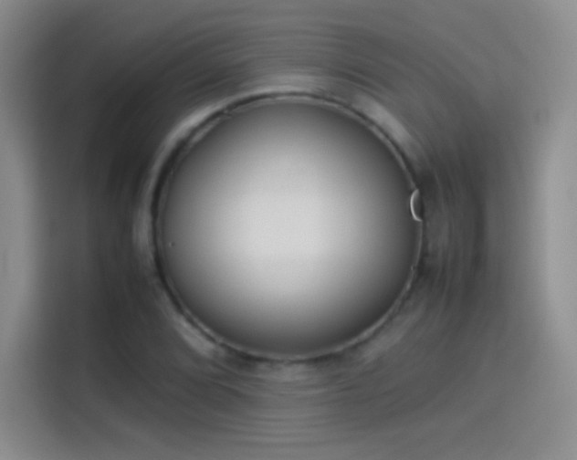 X0000114111072200910131338
