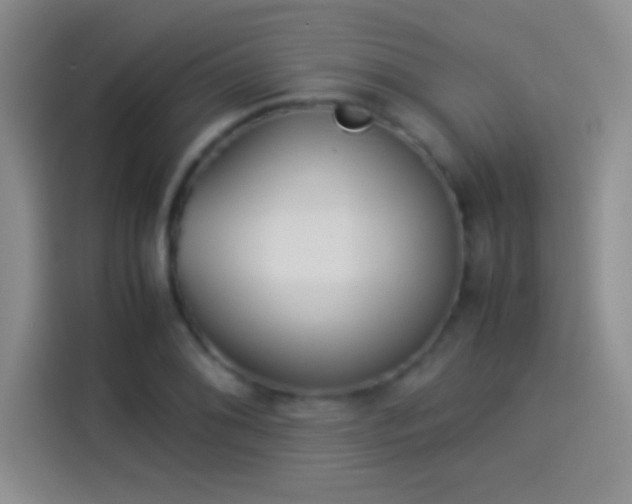 X0000114111076200910131338