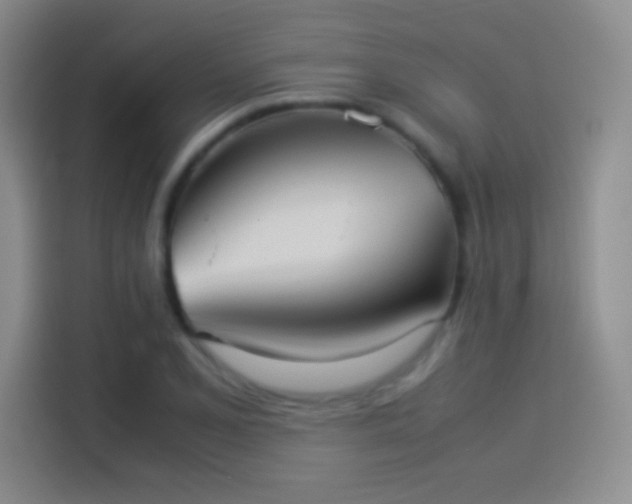 X0000114111077200910131338