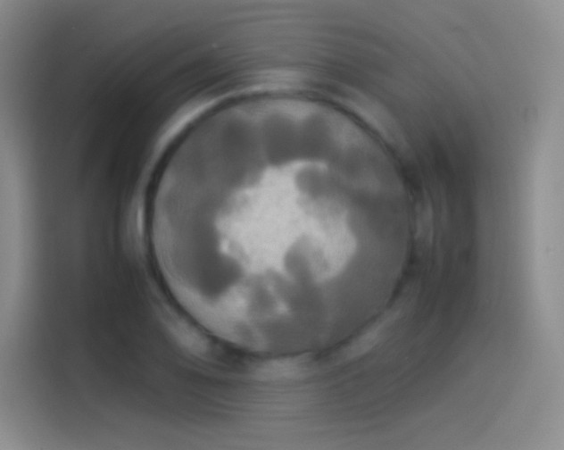 X0000114111078200910131338