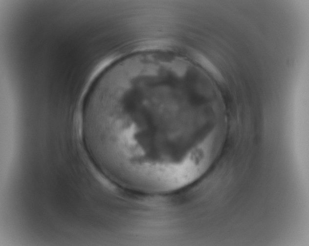 X0000114111079200910131338