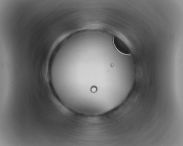 X0000114111080200910131338