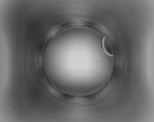 X0000114111081200910131338
