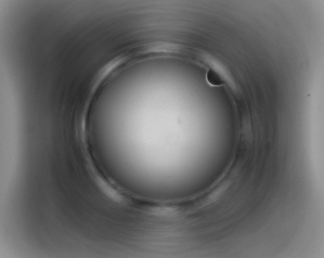 X0000114111082200910131338