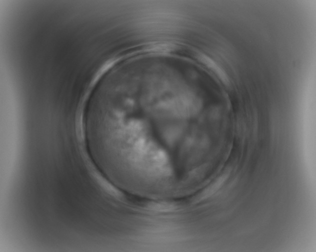 X0000114111083200910131338