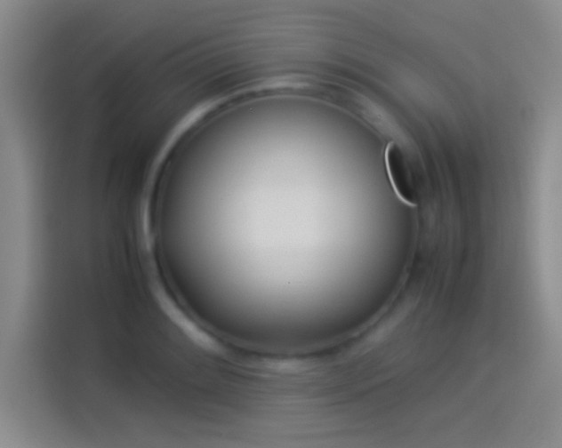 X0000114111084200910131338