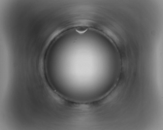 X0000114111085200910131338