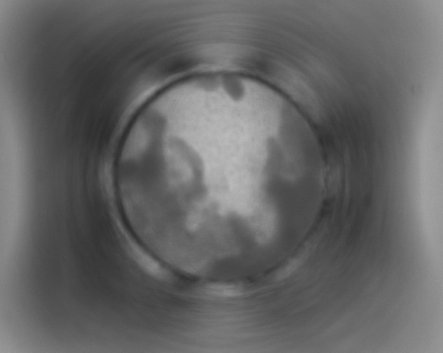 X0000114111086200910131338