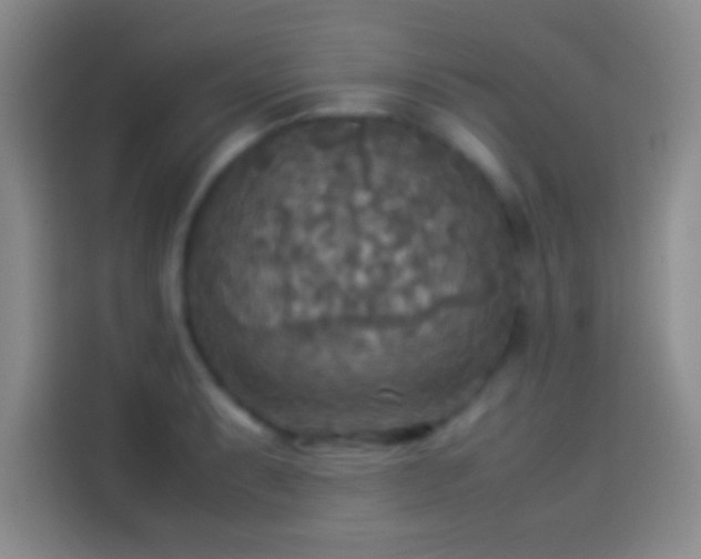 X0000114111087200910131338