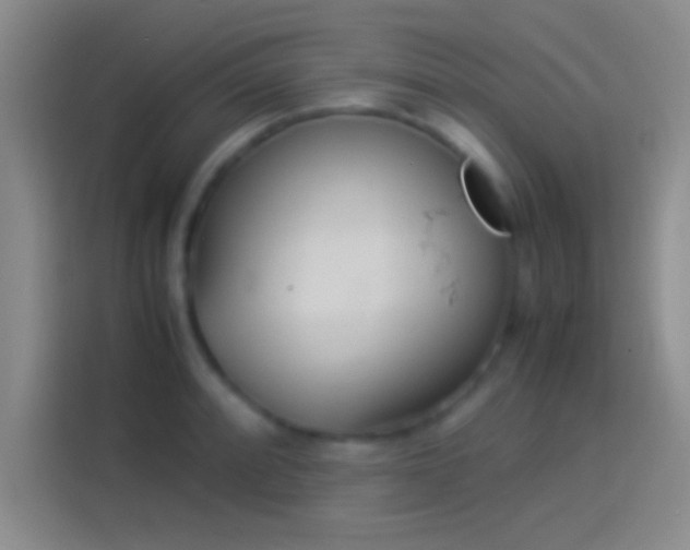 X0000114111088200910131338