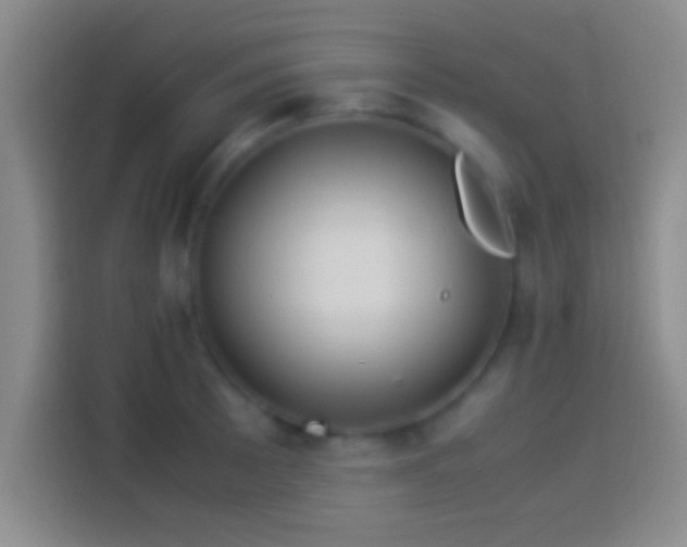 X0000114111089200910131338