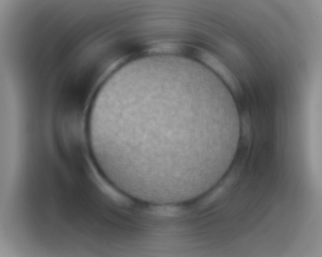 X0000114111090200910131338