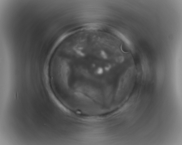 X0000114111091200910131338