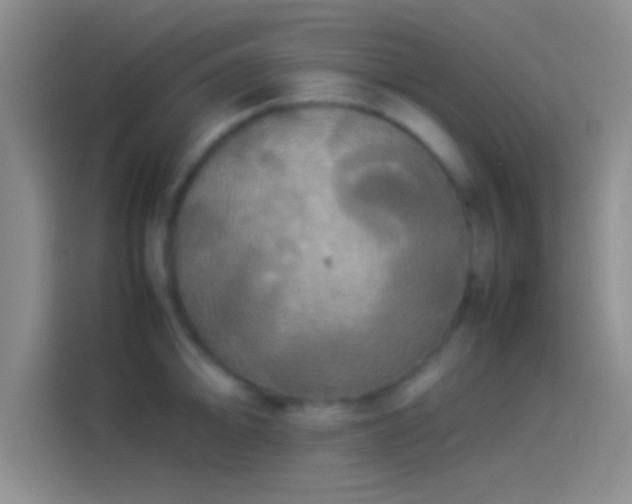 X0000114111094200910131337