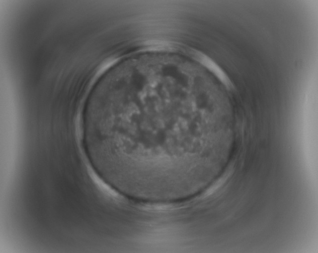 X0000114111095200910131337