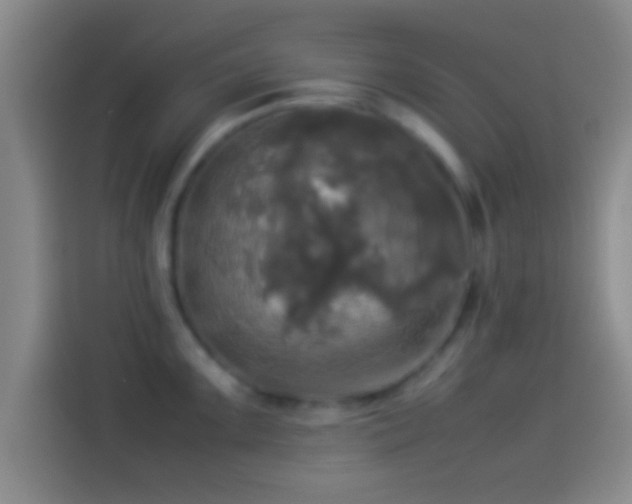X0000114111099200910131337