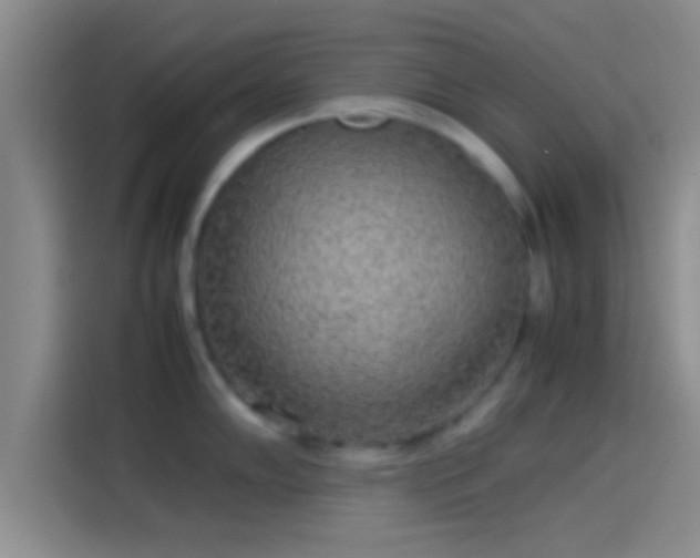 X0000114111102200910131337