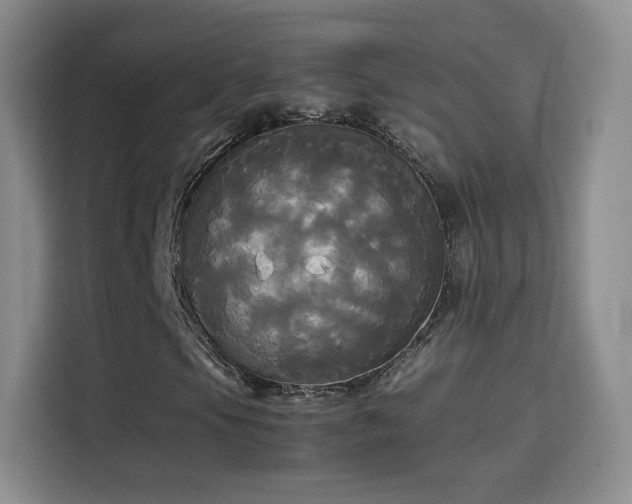 X0000114111105200910131337