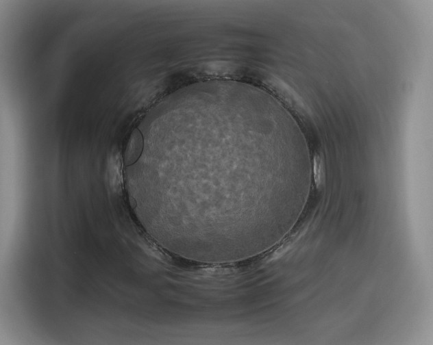 X0000114111107200910131337